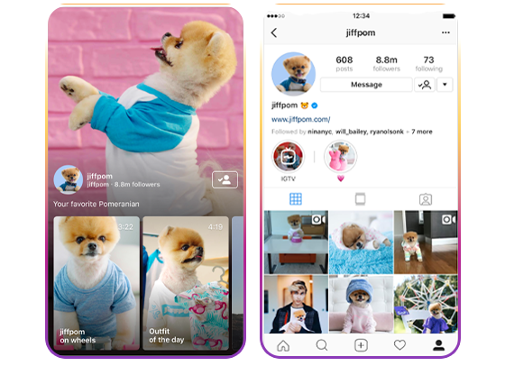 IG IGTV DOWNLOADER