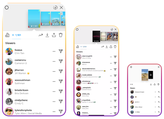 IG STATUS VIEWER DOWNLOADER